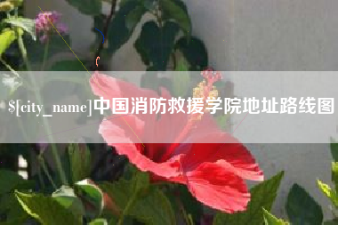 珠海中国消防救援学院地址路线图
