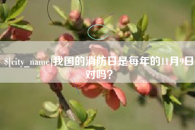 珠海我国的消防日是每年的11月9日对吗？