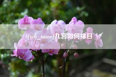 珠海九宫如何排日