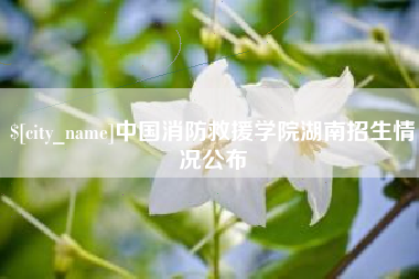 珠海中国消防救援学院湖南招生情况公布