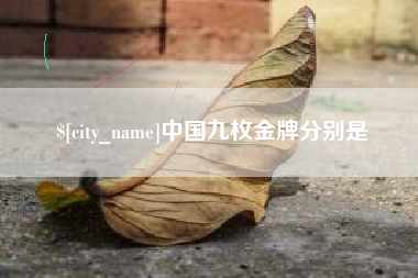 珠海中国九枚金牌分别是