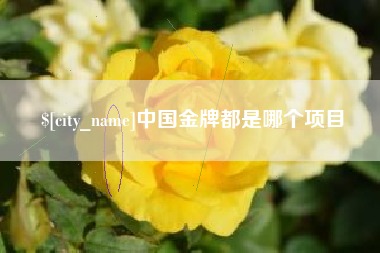 珠海中国金牌都是哪个项目