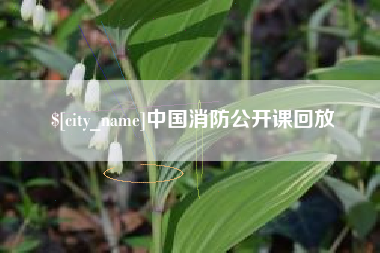 珠海中国消防公开课回放