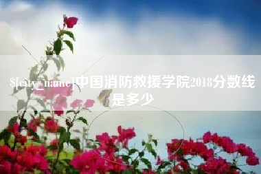 珠海中国消防救援学院2018分数线是多少