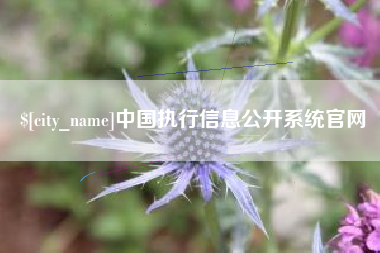 珠海中国执行信息公开系统官网
