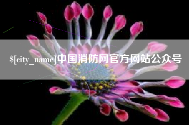 珠海中国消防网官方网站公众号