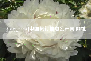 珠海中国执行信息公开网 网址