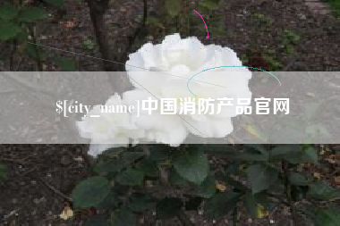 珠海中国消防产品官网