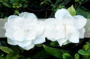 珠海中国的几块金牌2021