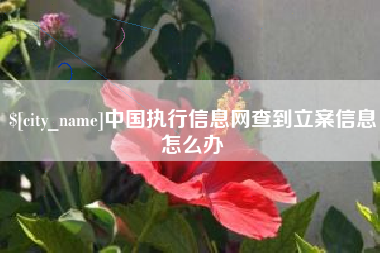 珠海中国执行信息网查到立案信息怎么办