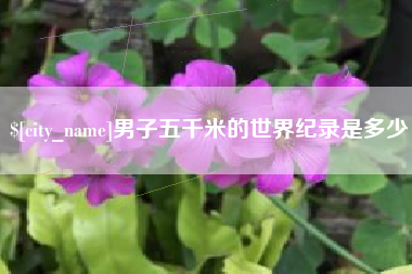 珠海男子五千米的世界纪录是多少