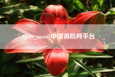 珠海中国消防网平台