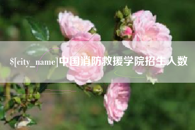 珠海中国消防救援学院招生人数