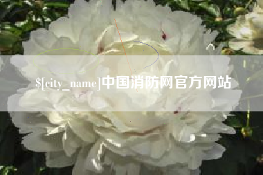 珠海中国消防网官方网站