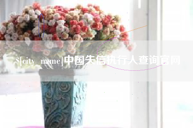 珠海中国失信执行人查询官网