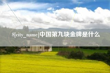 珠海中国第九块金牌是什么