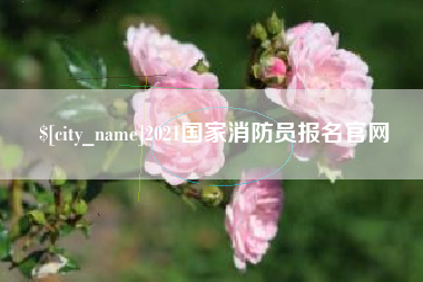 珠海2021国家消防员报名官网
