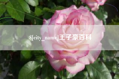 珠海王子豪百科