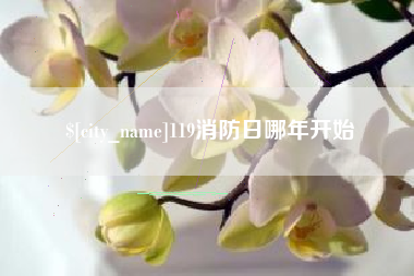 珠海119消防日哪年开始