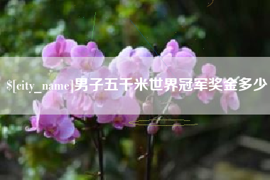 珠海男子五千米世界冠军奖金多少