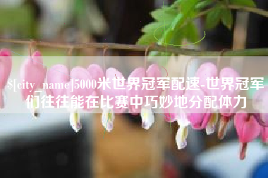 珠海5000米世界冠军配速-世界冠军们往往能在比赛中巧妙地分配体力