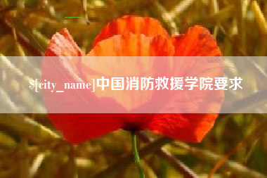 珠海中国消防救援学院要求