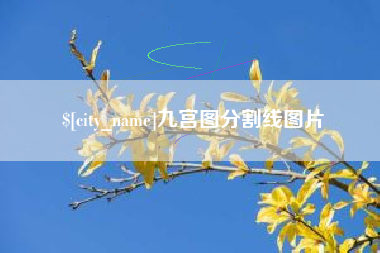珠海九宫图分割线图片