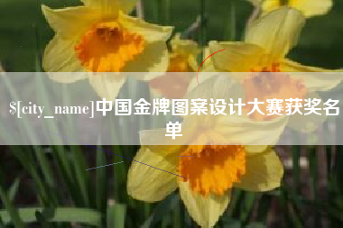 珠海中国金牌图案设计大赛获奖名单