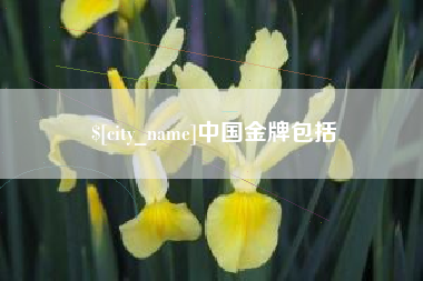 珠海中国金牌包括