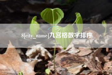 珠海九宫格数字排序
