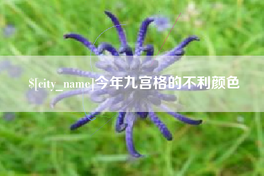 珠海今年九宫格的不利颜色