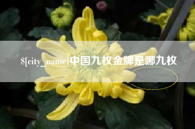 珠海中国九枚金牌是哪九枚