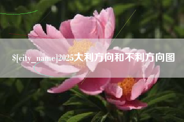 珠海2025大利方向和不利方向图