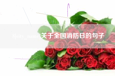 珠海关于全国消防日的句子