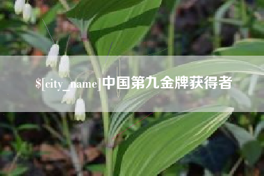 珠海中国第九金牌获得者