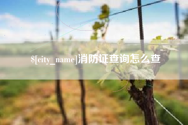 珠海消防证查询怎么查