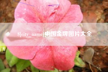 珠海中国金牌图片大全
