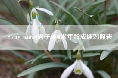 珠海男子5000米年龄成绩对照表