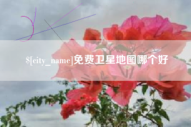 珠海免费卫星地图哪个好