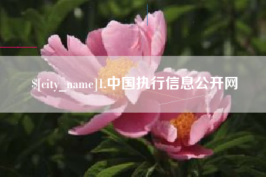 珠海1.中国执行信息公开网