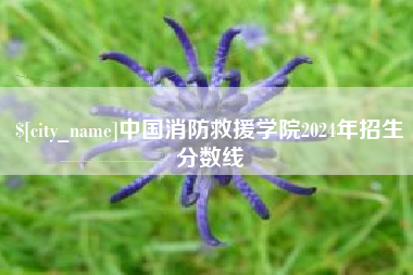 珠海中国消防救援学院2024年招生分数线