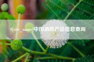 珠海中国消防产品信息查询