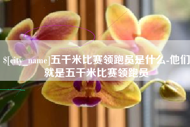珠海五千米比赛领跑员是什么-他们就是五千米比赛领跑员
