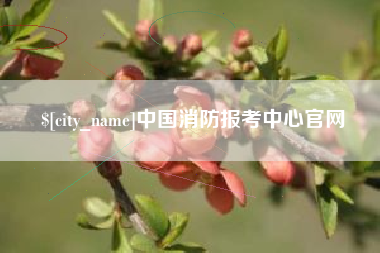 珠海中国消防报考中心官网