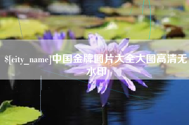 珠海中国金牌图片大全大图高清无水印