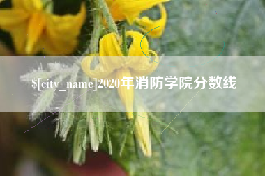 珠海2020年消防学院分数线