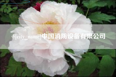珠海中国消防设备有限公司