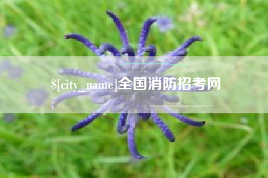 珠海全国消防招考网