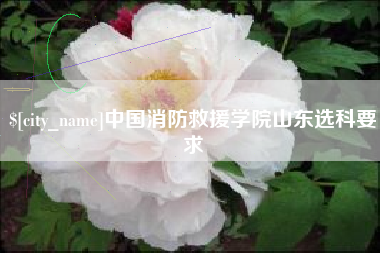 珠海中国消防救援学院山东选科要求