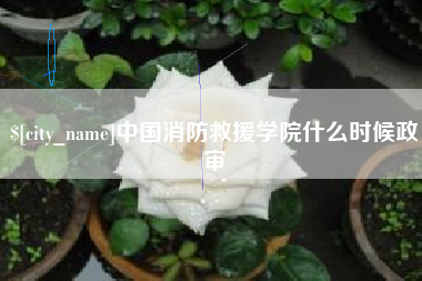 珠海中国消防救援学院什么时候政审